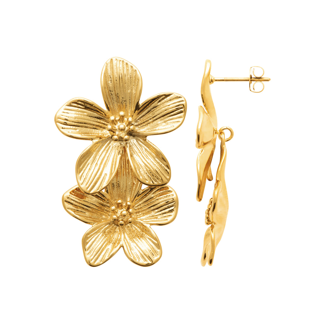 Boucles d'oreilles Acier inoxydable doré Lycia