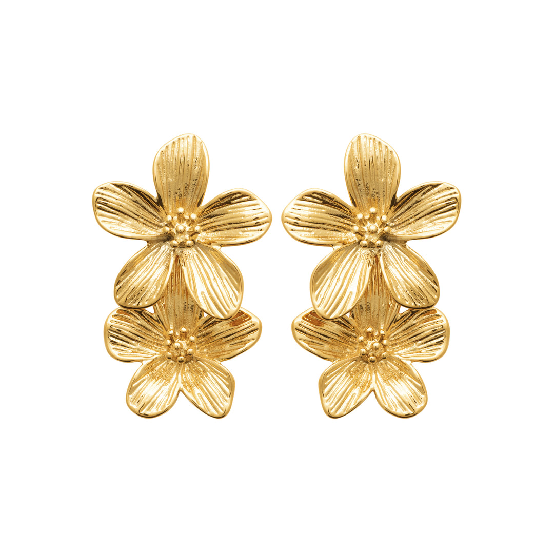 Boucles d'oreilles Acier inoxydable doré Lycia
