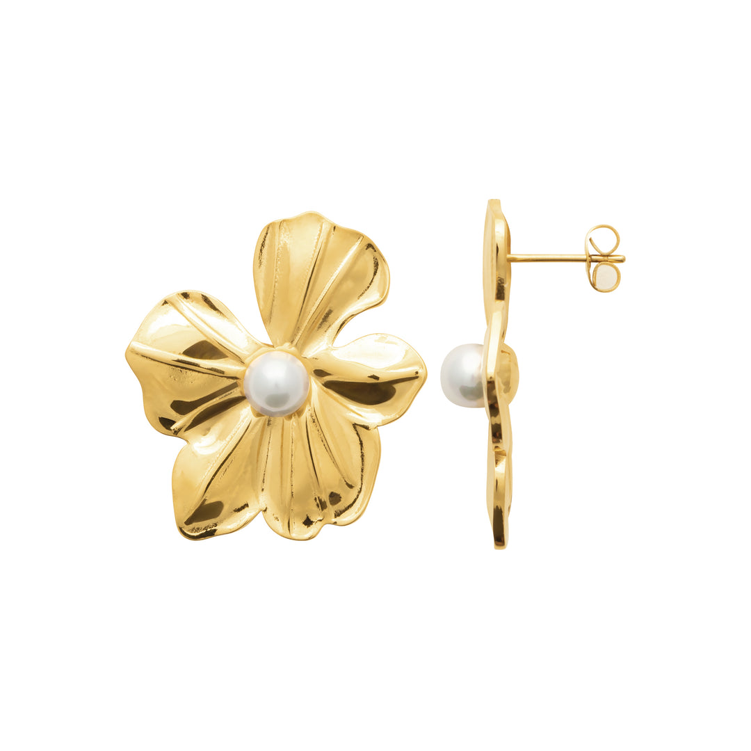Boucles d'oreilles Acier inoxydable doré Anaelle