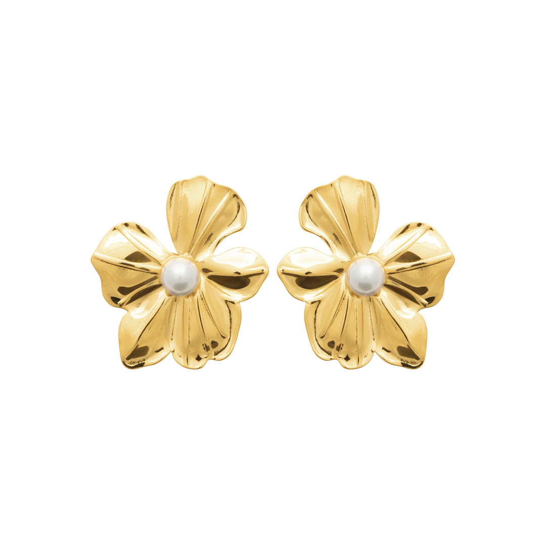 Boucles d'oreilles Acier inoxydable doré Anaelle