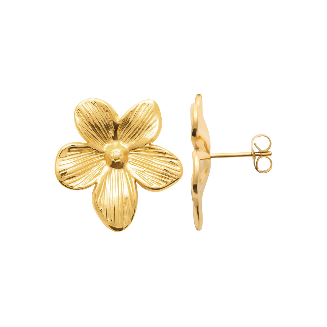 Boucles d'oreilles Acier inoxydable doré Lycia
