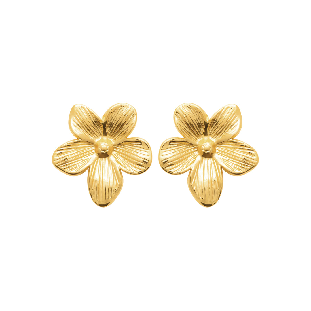 Boucles d'oreilles Acier inoxydable doré Lycia