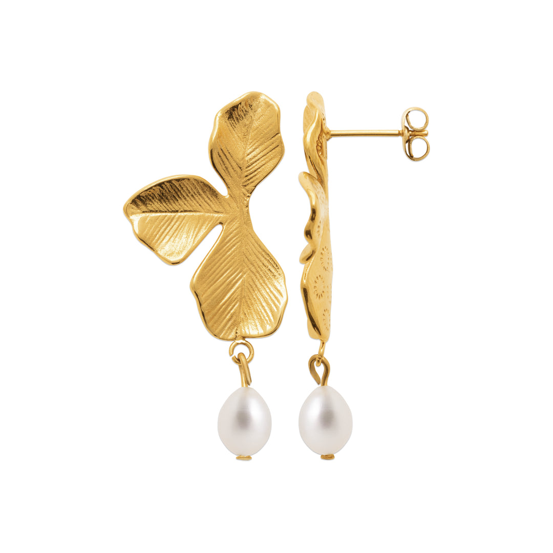 Boucles d'oreilles Acier inoxydable doré Amaya