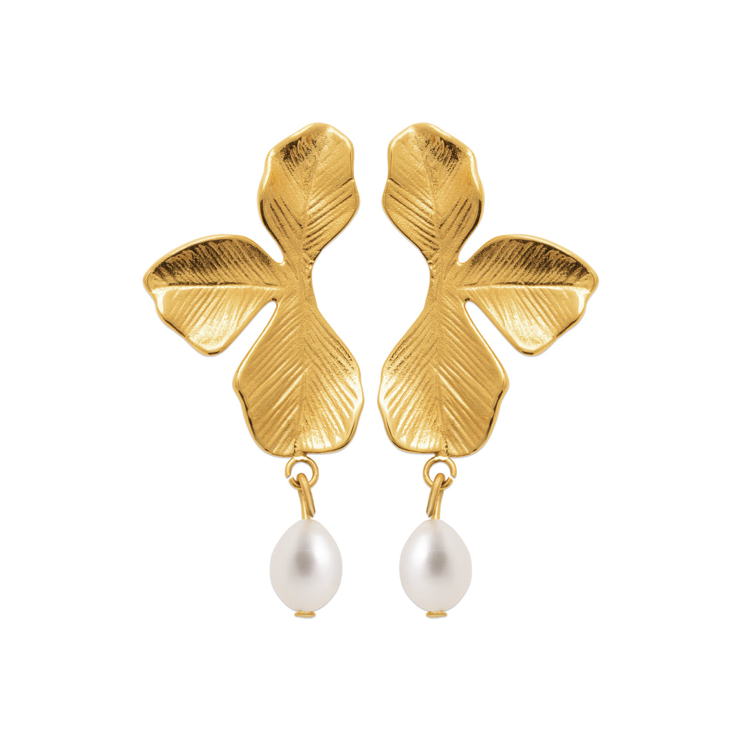 Boucles d'oreilles Acier inoxydable doré Amaya