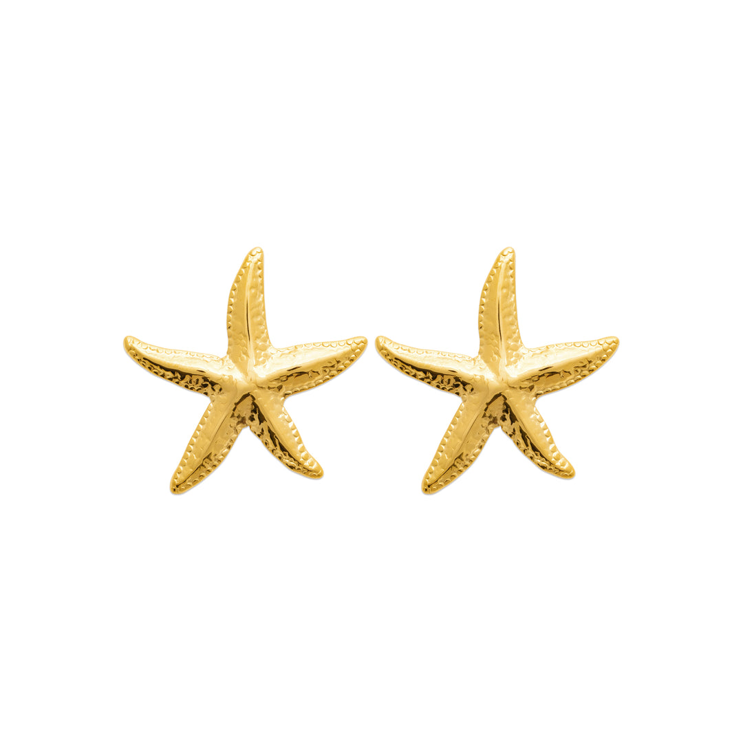 Boucles d'oreilles Acier inoxydable doré Sirena
