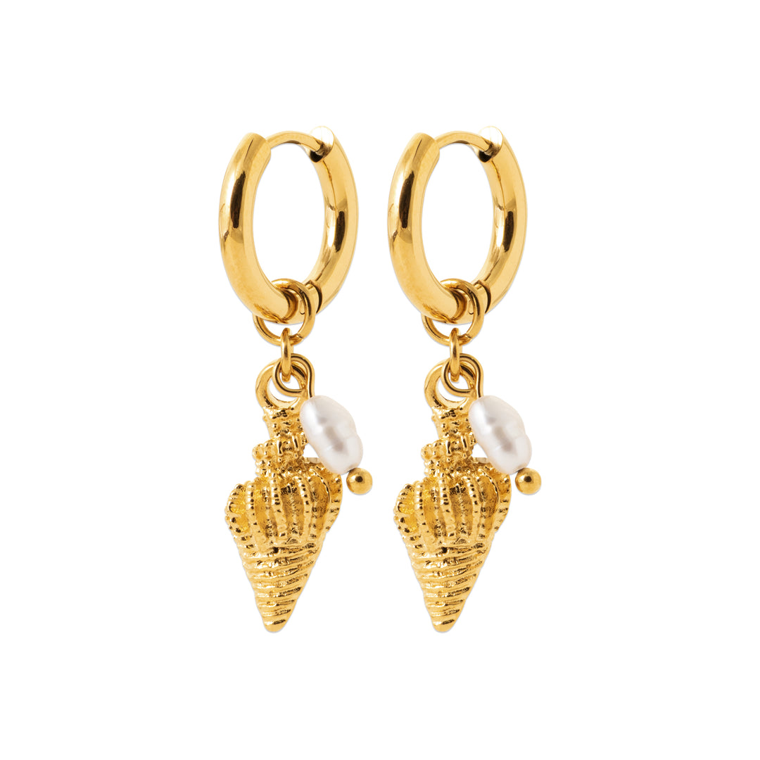 Boucles d'oreilles Acier inoxydable doré Noé