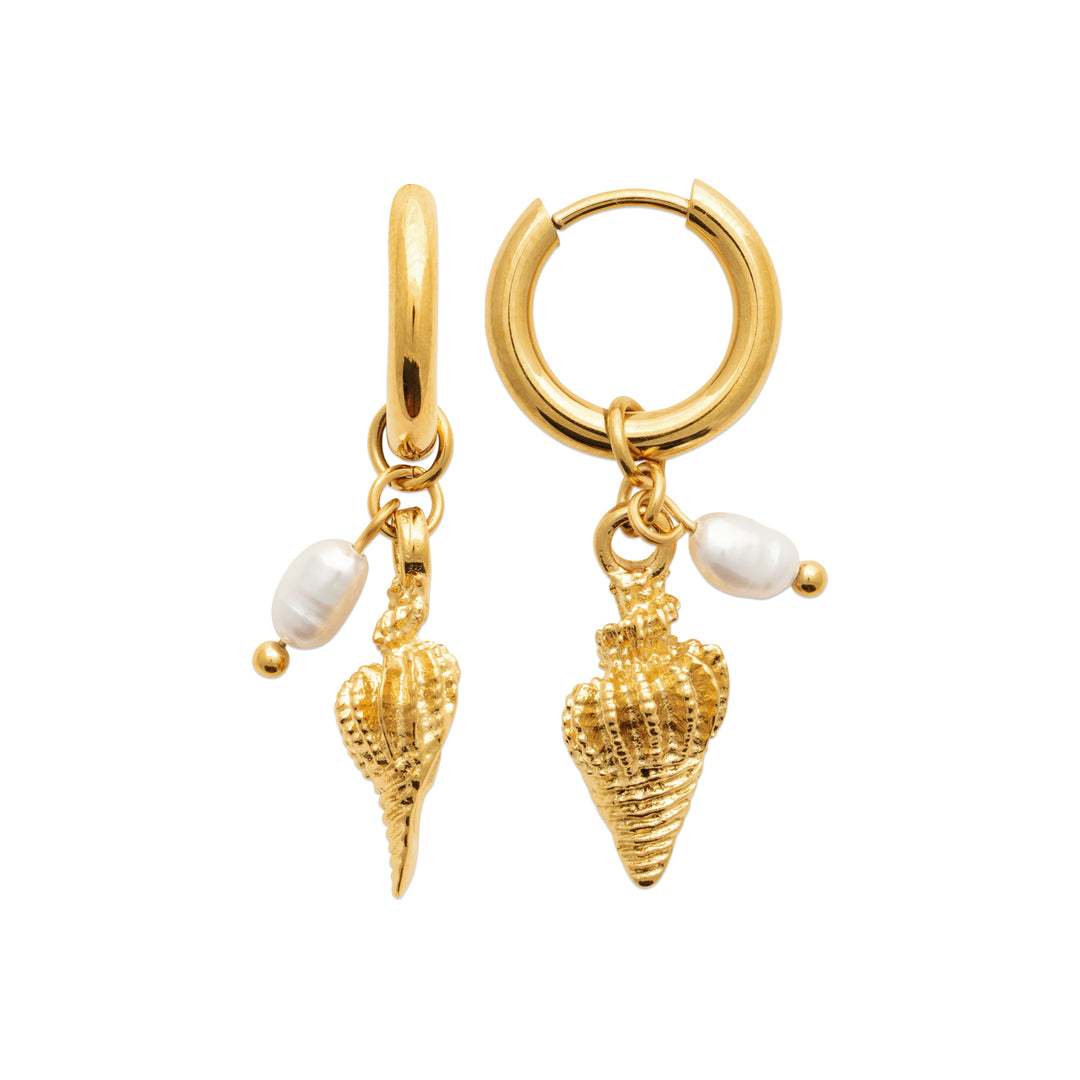 Boucles d'oreilles Acier inoxydable doré Noé