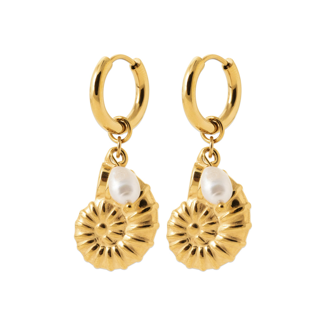 Boucles d'oreilles Acier inoxydable doré Malo