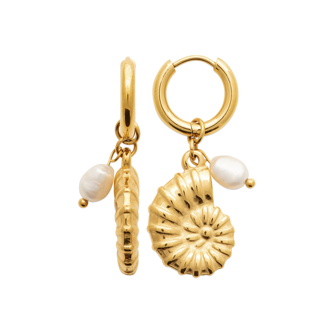 Boucles d'oreilles Acier inoxydable doré Malo