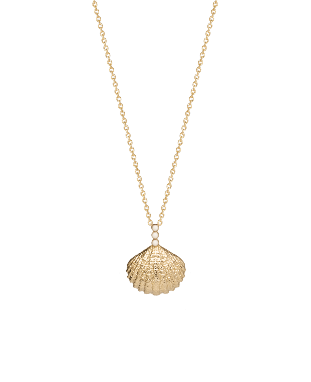 Collier Plaqué or Coquillage