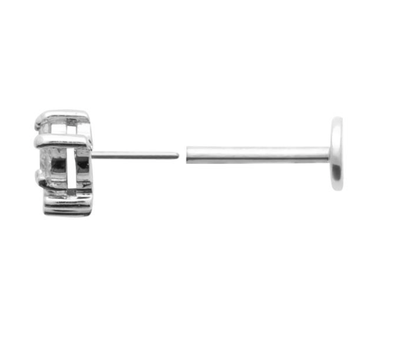 Piercing Argent 925 & OZ Tige Titane Swan