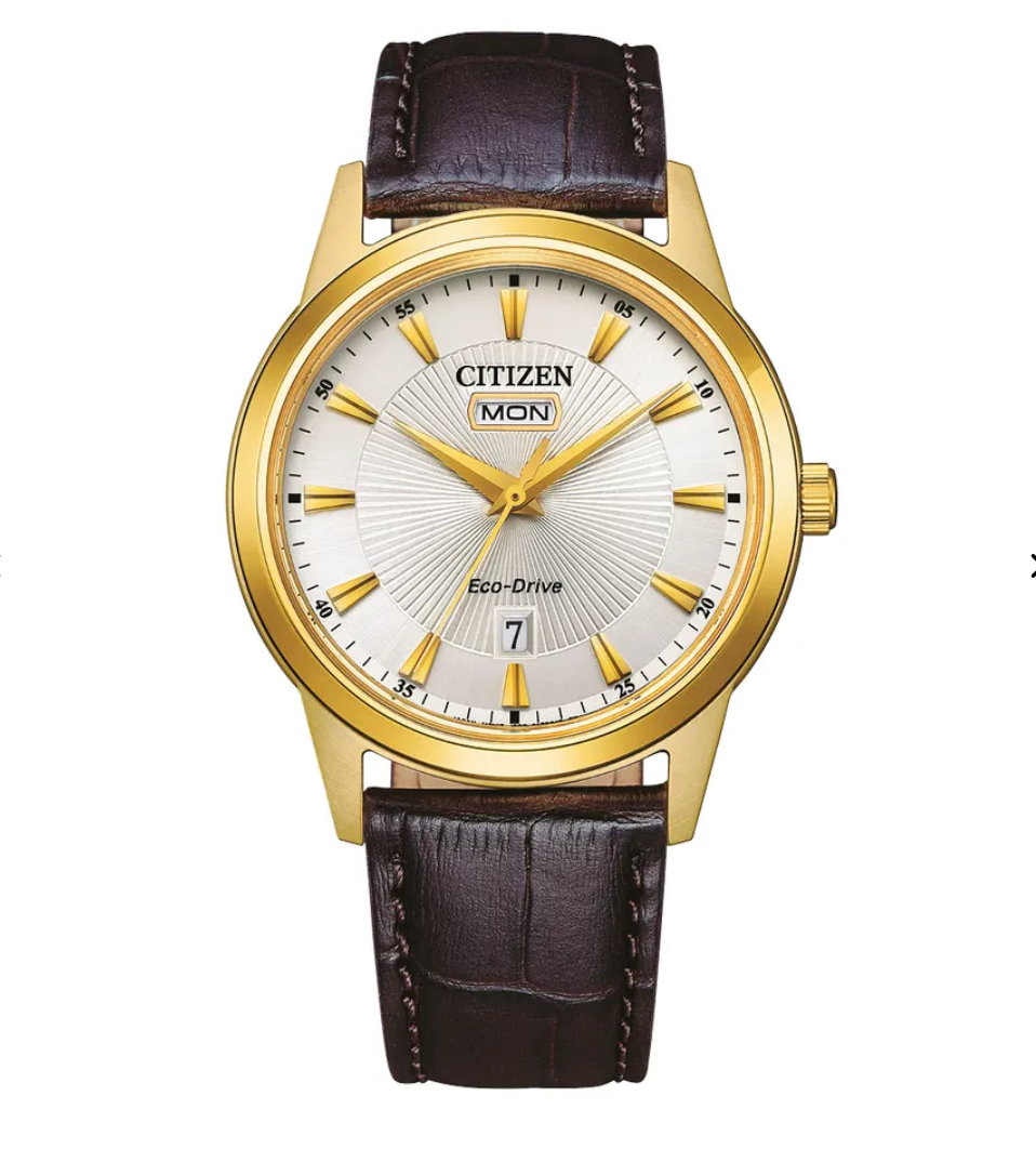 Montre Citizen Eco-drive AW0102-13AE
