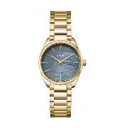 Montre cluse CW11707