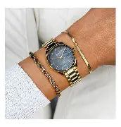 Montre cluse CW11707