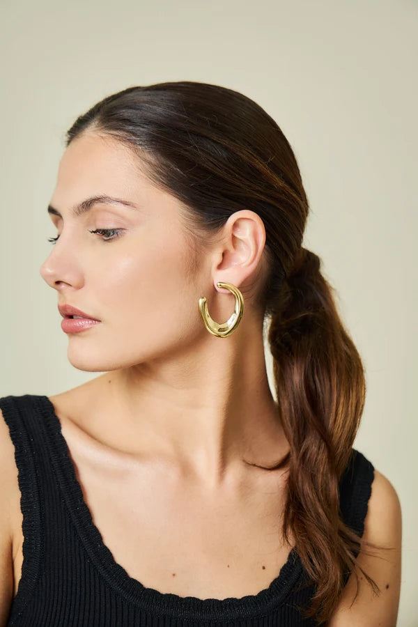 Boucles d'oreilles Acier inoxydable femme Grace