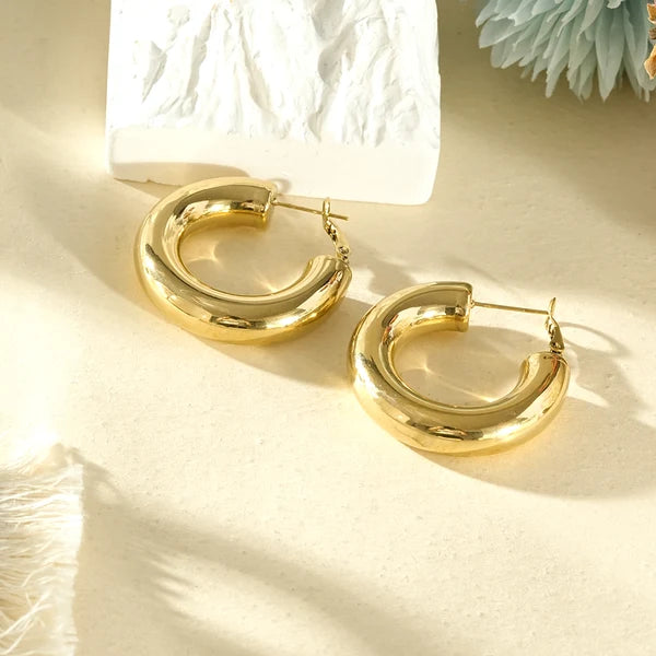 Boucles d'oreilles créoles Acier inoxydable femme Florence