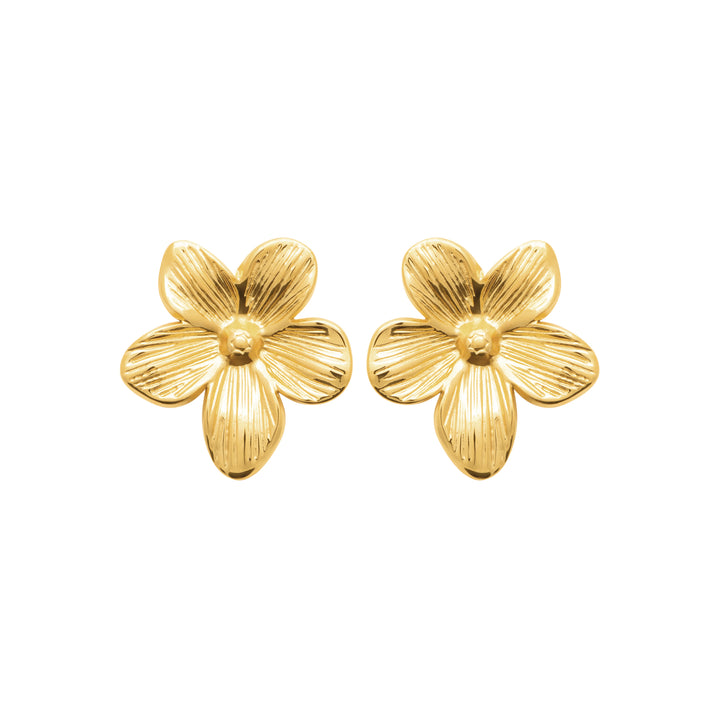 Boucles d'oreilles Acier inoxydable doré Lycia