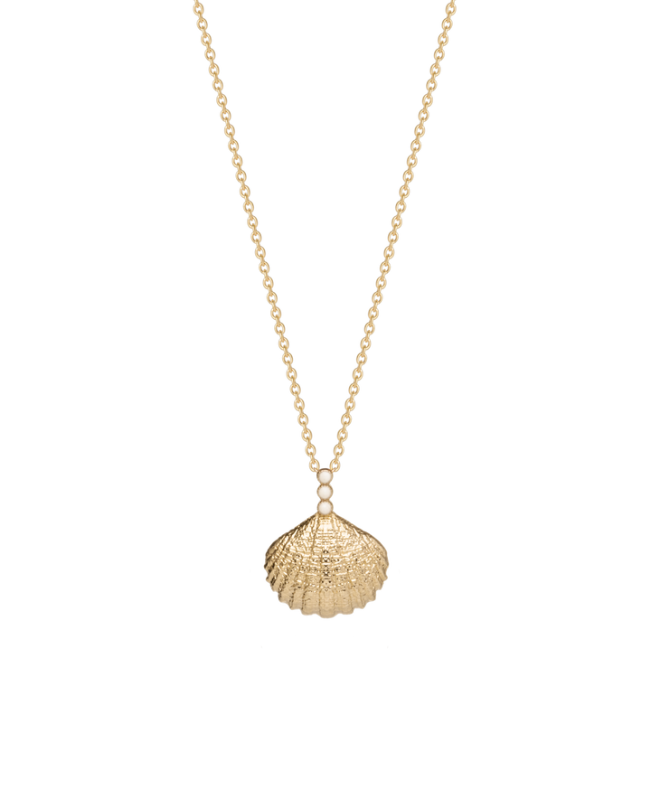 Collier Plaqué Or Coquillage