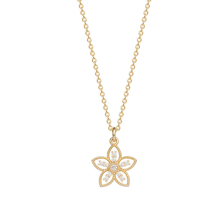 Collier Plaqué Or & Oz Capucine