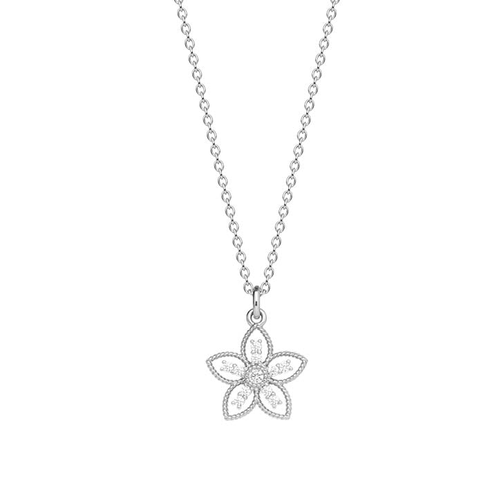 Collier Argent 925 & Oz Capucine