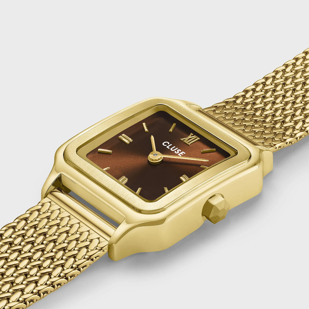 Montre Cluse CW11830