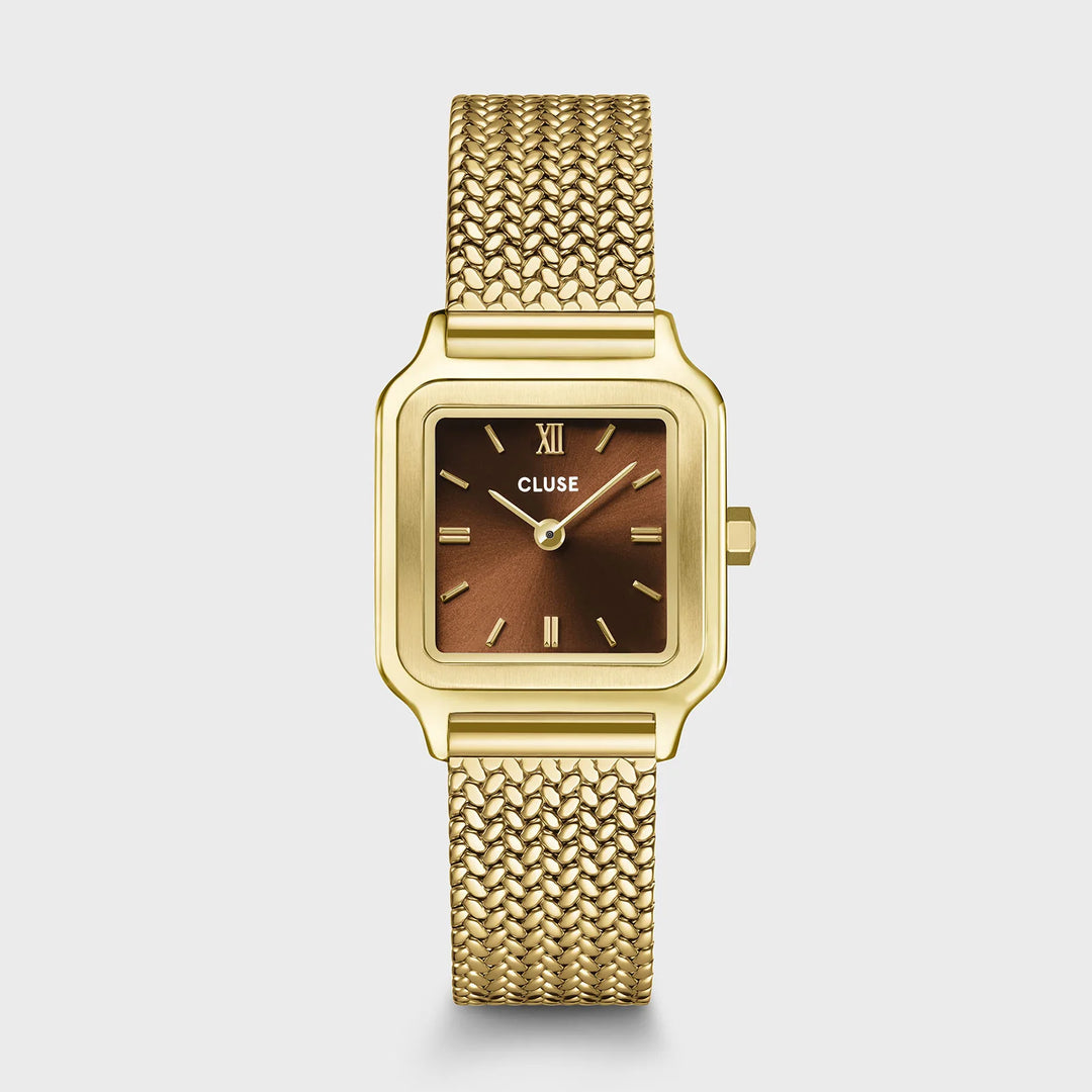 Montre Cluse CW11830