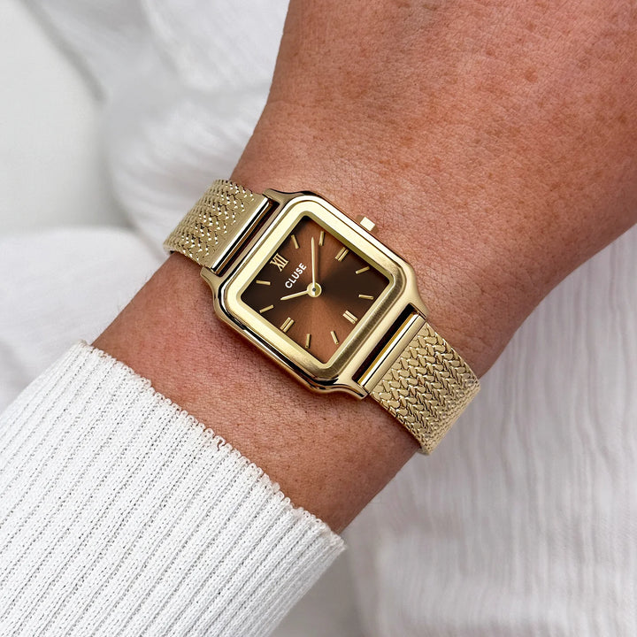 Montre Cluse CW11830