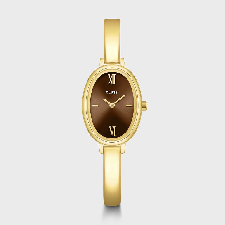 Montre Cluse CW16105