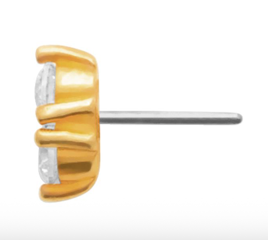 Piercing Plaqué or & OZ Tige Titane Myrtille