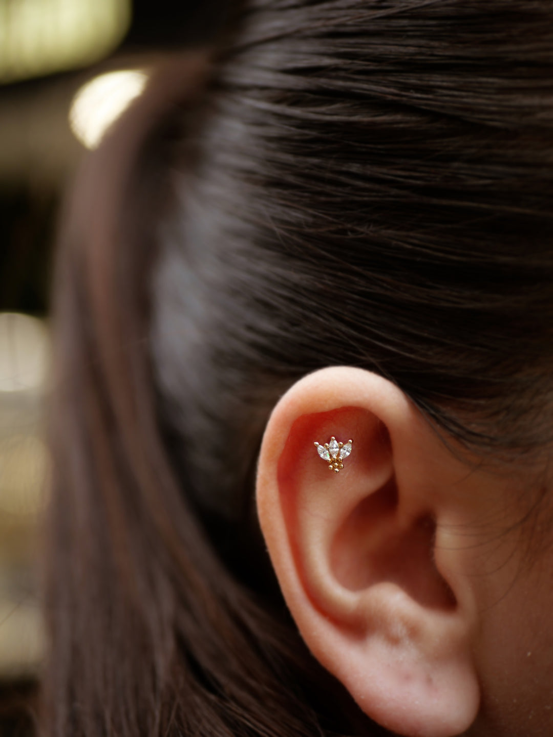 Piercing Plaqué or & OZ Tige Titane Swan