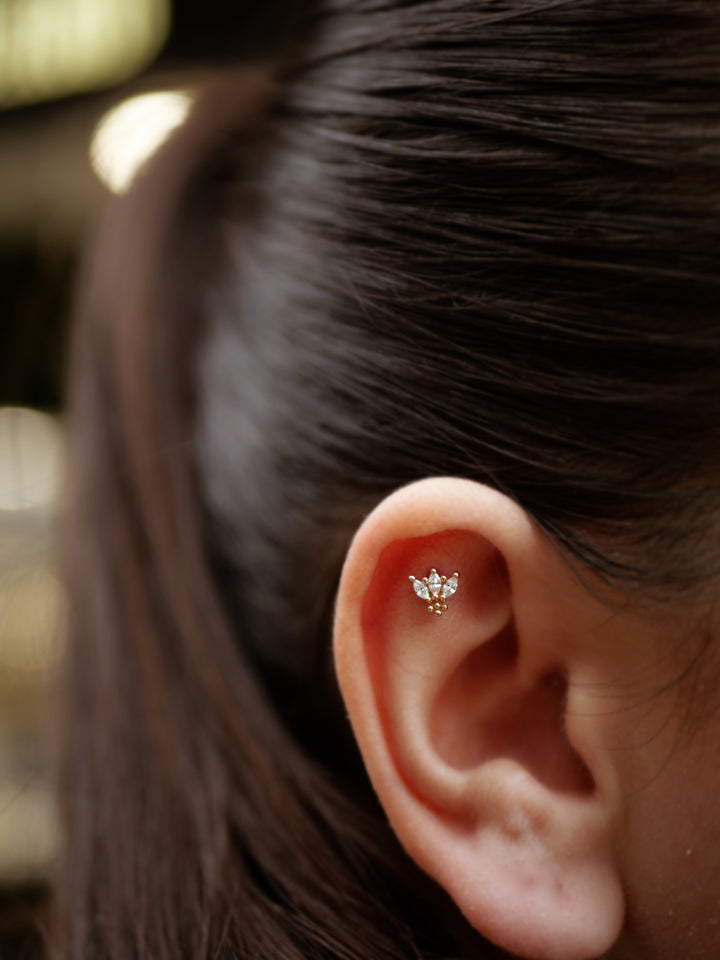 Piercing Plaqué or & OZ Tige Titane Swan